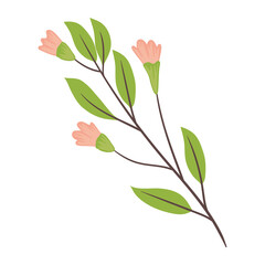 pink flowers and leafs