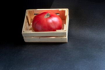 Beefsteak tomato. Fleshy variety. Ideal for making salads, toppings on large toppings and sandwich toppings. One large ripe tomato in wooden box. On black background