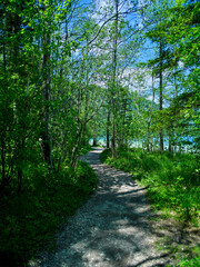 Pathway to the Offensee lake in Austrian Alps.