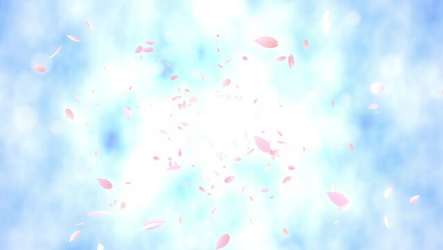 Loop back center rotation cherry petals bright background