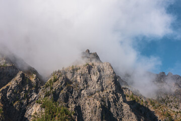 Misty autumn landscape with coniferous trees on sunlit sharp rocks and pointy peak in low clouds. Fading autumn colors in high mountains. Firs on rocky mountain with peaked top in foggy sunny morning.
