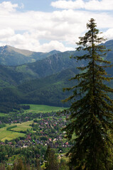 Fototapeta na wymiar View of Zakopane from Mount Gubalovka in summer. Town in the Tatra Mountains. Tourist attractions in Poland
