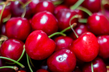 Red ripe fresh cherries on farmers market stall.Close up