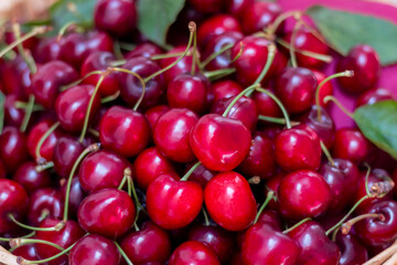 Fresh sweet cherries  in woden basket. Eco production organic fruits - concept. Close up