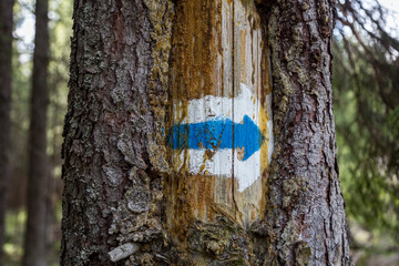 Marking the tourist route arrow painted on the tree in blue and white. Travel route sign in mountains