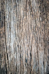 A texture and background of old wooden planks with clear horizontal lines.