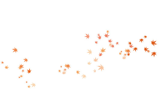風に舞う紅葉のイメージイラスト