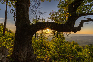 Fototapeta na wymiar The sun sets over the Blue Ridge mountains in Shenandoah National Park