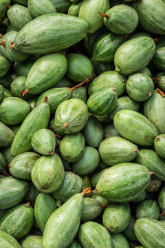 fresh organic pointed gourd from farm close up from different angle
