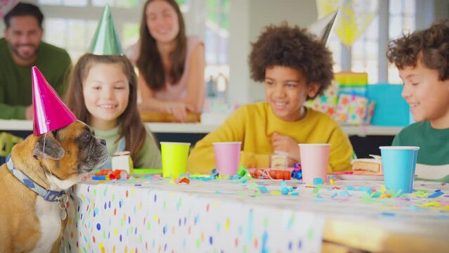 Pet dog wearing party hat sitting at birthday party table with children and parents - shot in slow motion
