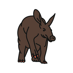 aardvark vector. hand drawn animal illustration