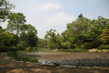 국립수목원 연못