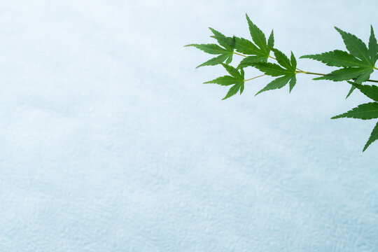 和風背景images Browse 4 186 Stock Photos Vectors And Video Adobe Stock