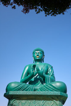 The Great Buddha of Nagoya at Toganji temple. Nagoya. Japan