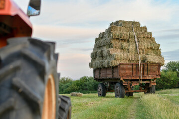 Selective focus of tractor trailer heavily loaded with hay bales in the countryside. Warm sunset light. © kyrychukvitaliy