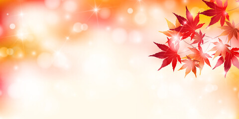 紅葉　もみじ　秋　背景