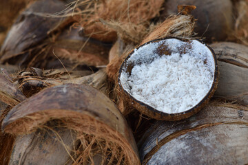 Coconuts sale in market