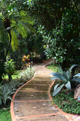path between trees and gardens, sidewalk with nature around