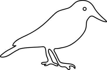  crow line art bird vector illustration on white backgroud..eps