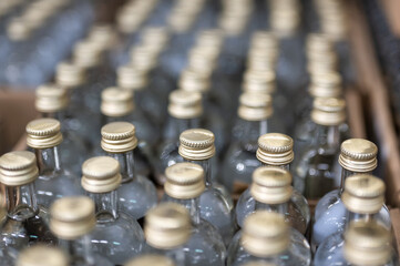 Glass bottles of vodka closed with golden caps in workshop
