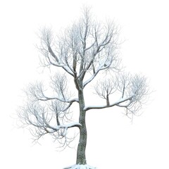 Winter tree in the snow isolated on white background 3d illustration