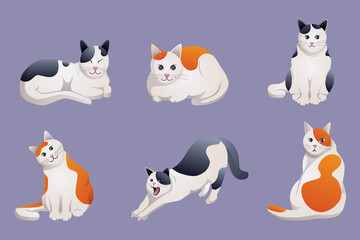 cute cat cartoon collection with different poses and emotions.