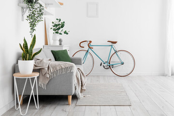 Interior of light living room with bicycle, grey sofa and houseplants
