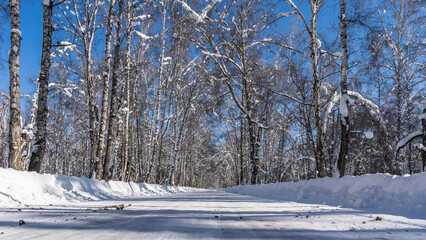 The straight road goes forward through the winter forest. The trees bent under the weight of layers of snow on the branches. Snowdrifts on the roadsides. Clear blue sky. Altai.