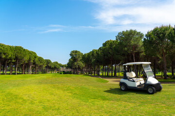 Panoramic view of beautiful golf course with buggy and pines on sunny day. Golf field with fairway,...