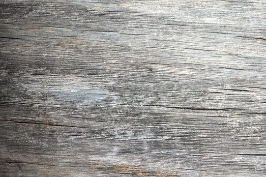 dry old wooden plank texture