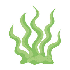 green marine seaweed nature