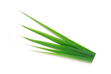 Lemongrass leaf isolated on white background.