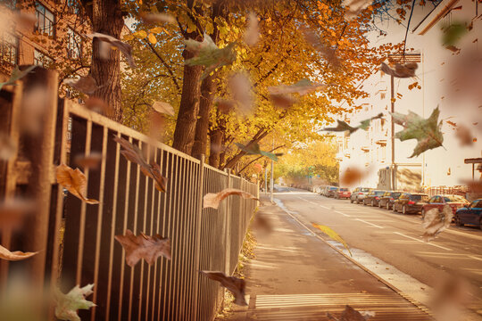 Vintage image of the urban autumn landscape