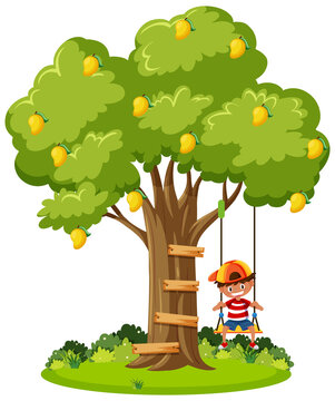 Boy playing swing under mango trees
