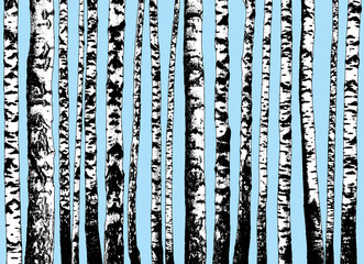 Birch grove. Seamless horizontal background of birch trunks. Realistic illustration of a birch forest. Isolated 
objects.