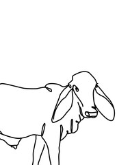continuous line drawing - cow 