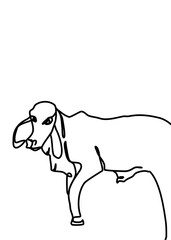 continuous line drawing - cow 