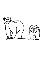 continuous line drawing - bear