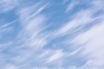 巻雲 / Cirrus clouds