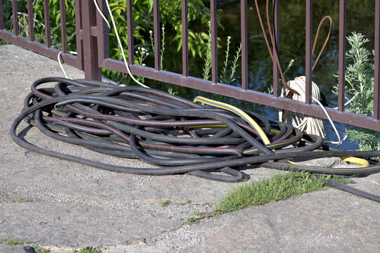 A rubber irrigation hose lies at the fence on a summer day