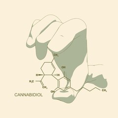Hand holding chemical molecular formula of cannabidiol.