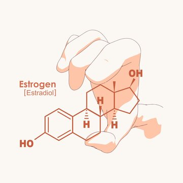 Hand holding chemical molecular formula of hormone estrogen.