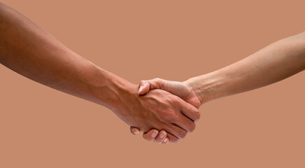 A man and woman handshake isolated on brown backgrounds
