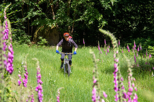 Mountainbiker on tour im Wald