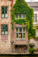 Cute dogs look out of a window of an old building in the historic center of Bruges, Belgium,...