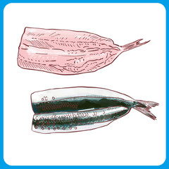 手描きの生いわしイラストセット・線画と塗り