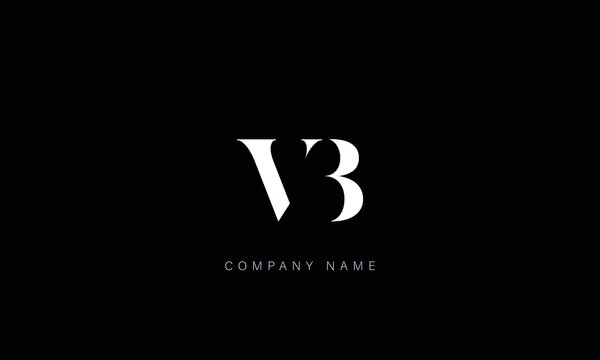 VB, BV Abstract Letters Logo Monogram