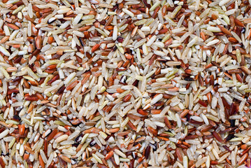 brown rice texture background , various rice color mixed thai rice for cooking food , Loonzain rice brown black red white purple health food background.