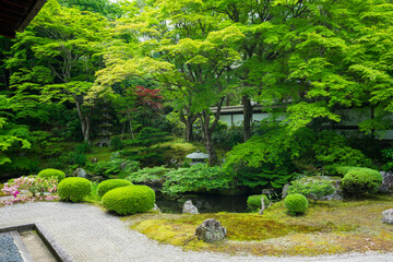 京都　泉涌寺（せんにゅうじ）の御座所庭園　新緑