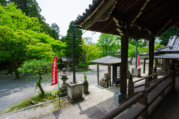 京都　今熊野観音寺の新緑